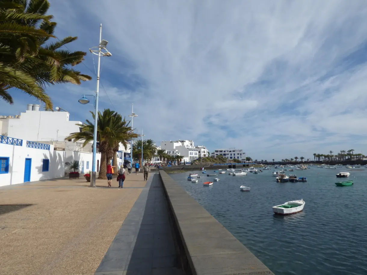 Paved promenade running along the lagoon beneath the palms