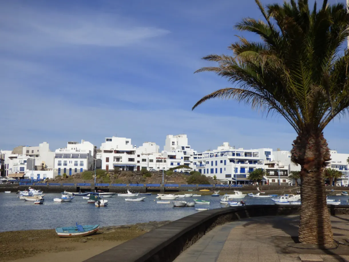 Palm tree leaning over the lagoon and the white houses