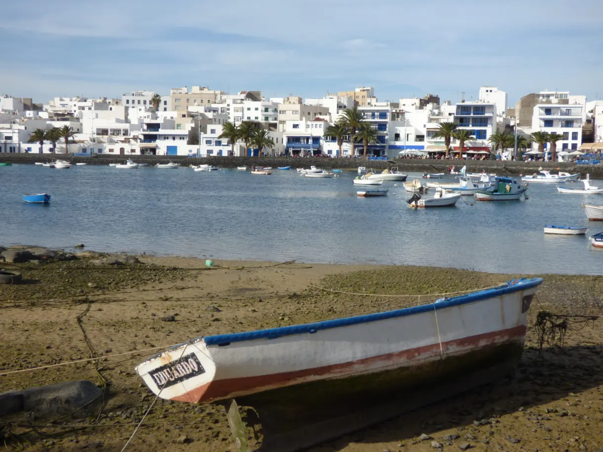Blue and white boat resting on the shore at low tide