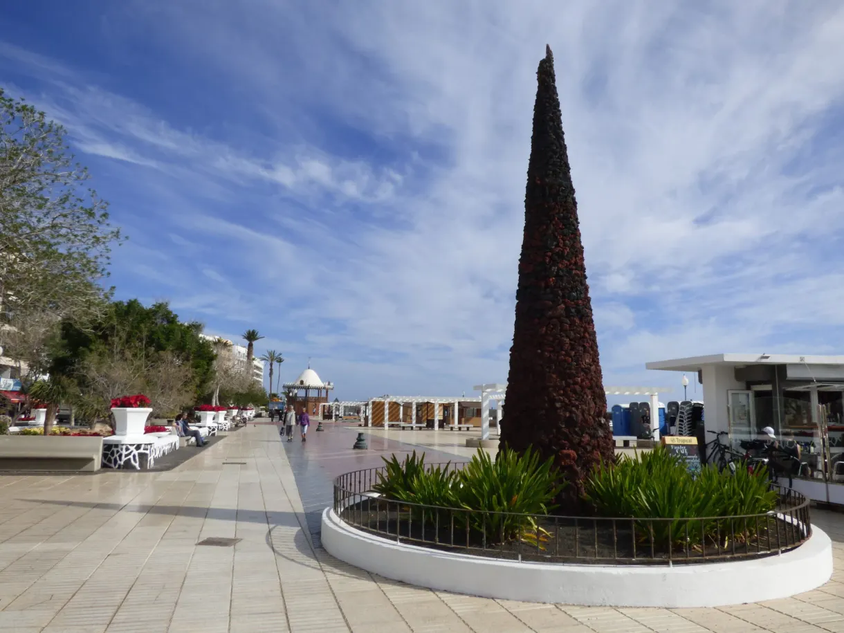 Red plant cone standing in the middle of the promenade