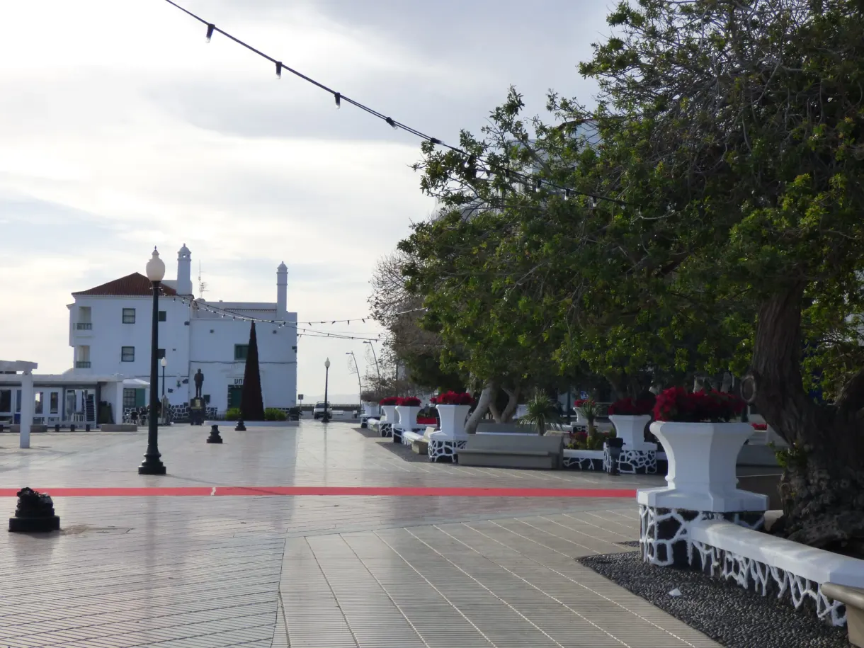 Paved esplanade beneath the garlands, lined with white benches