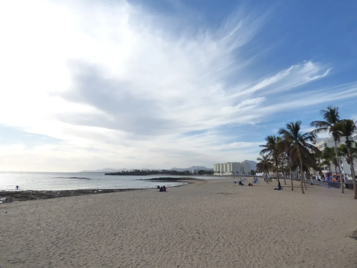 Sandy beach fringed with palm trees at the end of the day