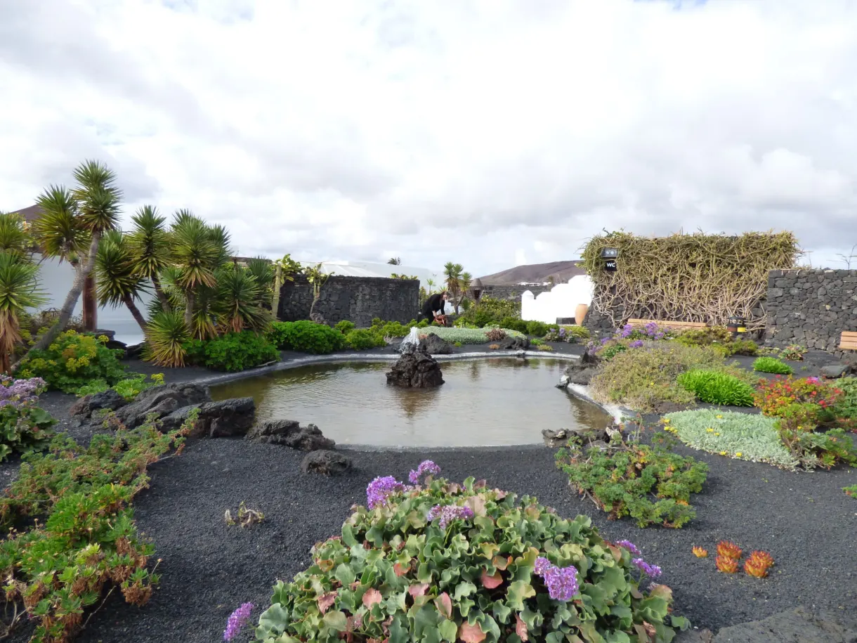 Pool and succulents set on the black lava