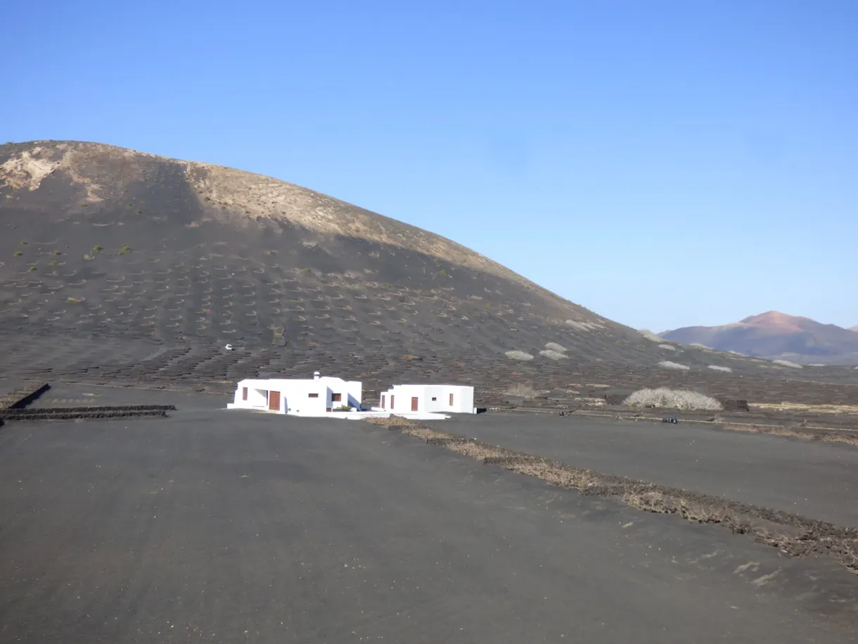 Bodega blanche isolée au bord de la route des vins