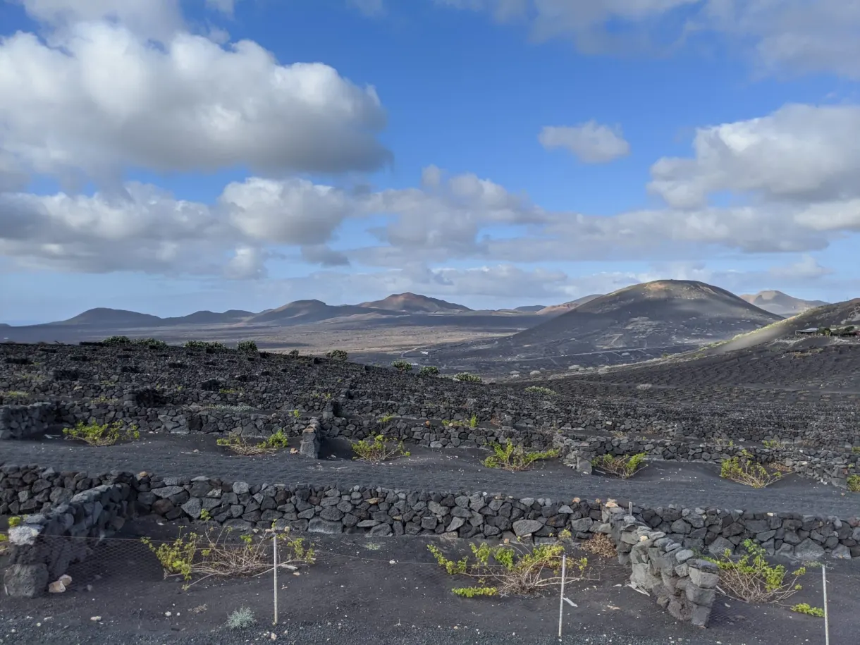Parcelles de vigne et volcans aperçus depuis le chemin