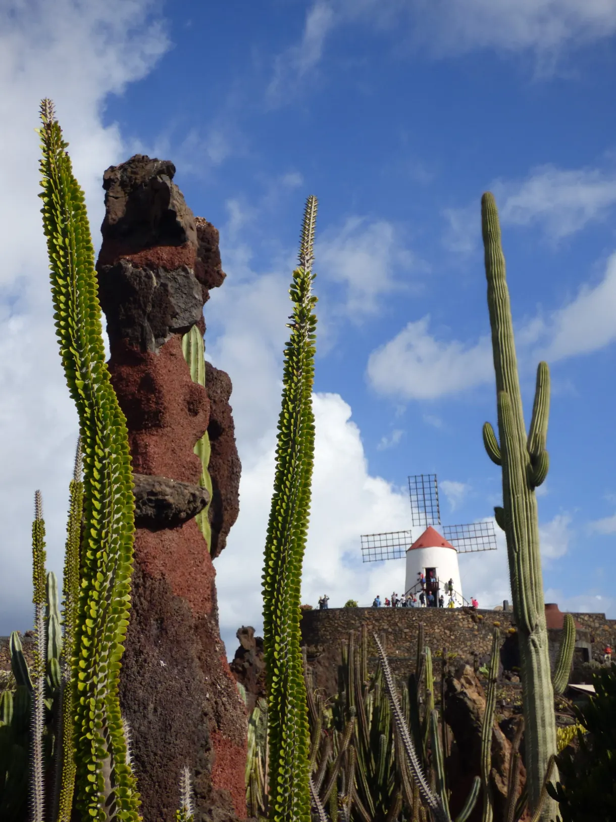 Colonne de lave rouge encadrée de cactus élancés