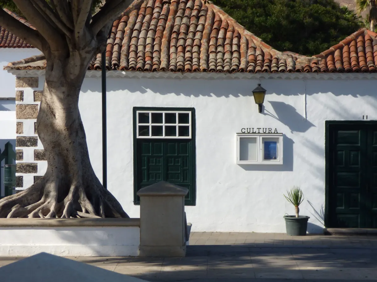 Maison blanche à toit de tuiles sous un grand ficus noueux