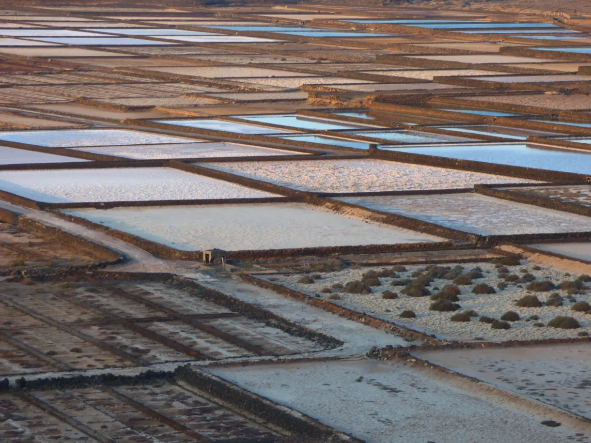 Gros plan des bassins de sel roses et blancs
