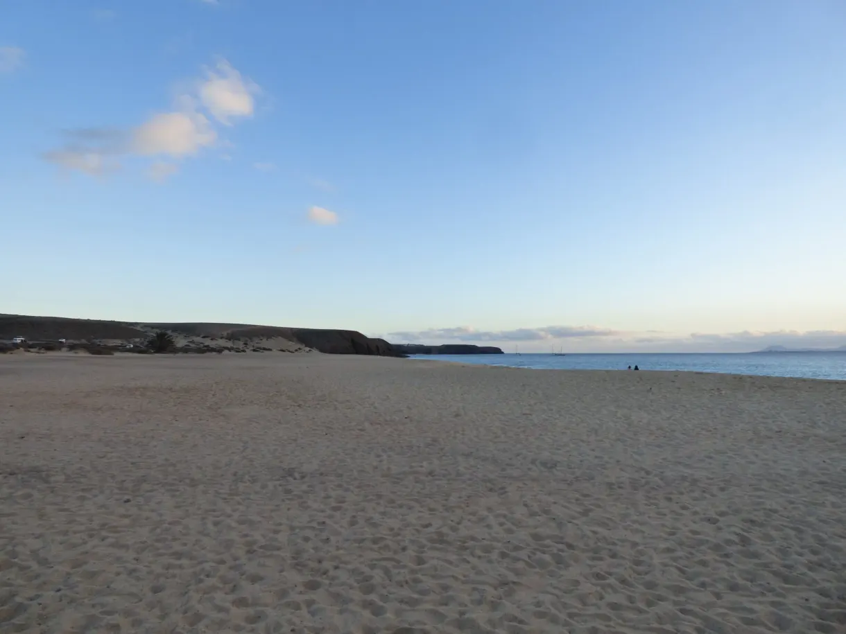 Longue plage de sable clair déserte au bord de l'océan
