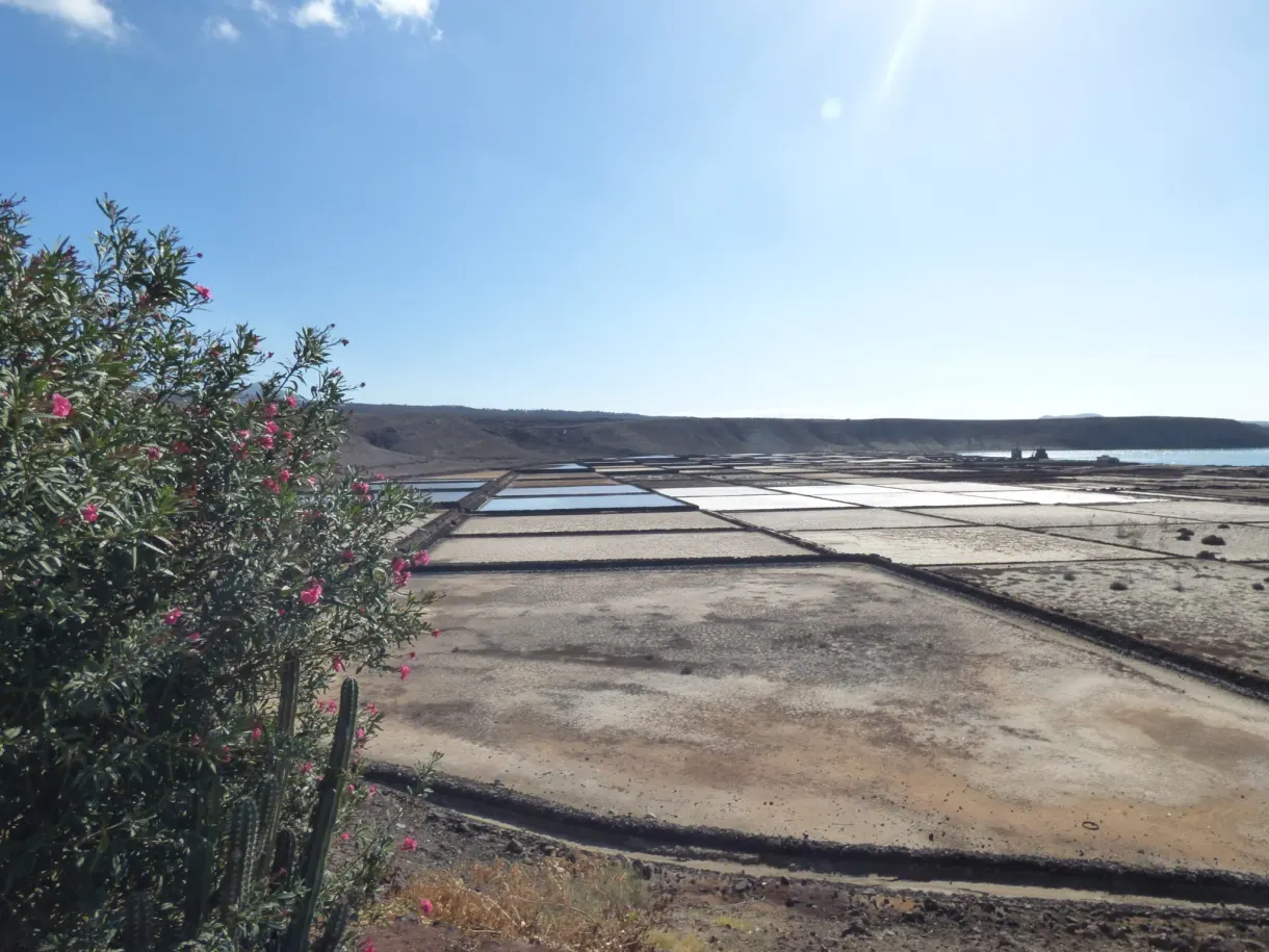 Marais salants vus depuis le jardin fleuri du restaurant