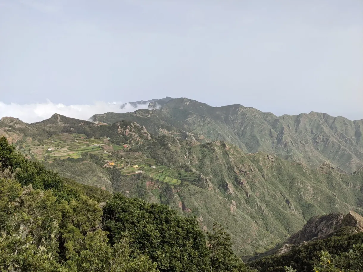 Terrasses cultivées suspendues au-dessus d'un ravin d'Anaga