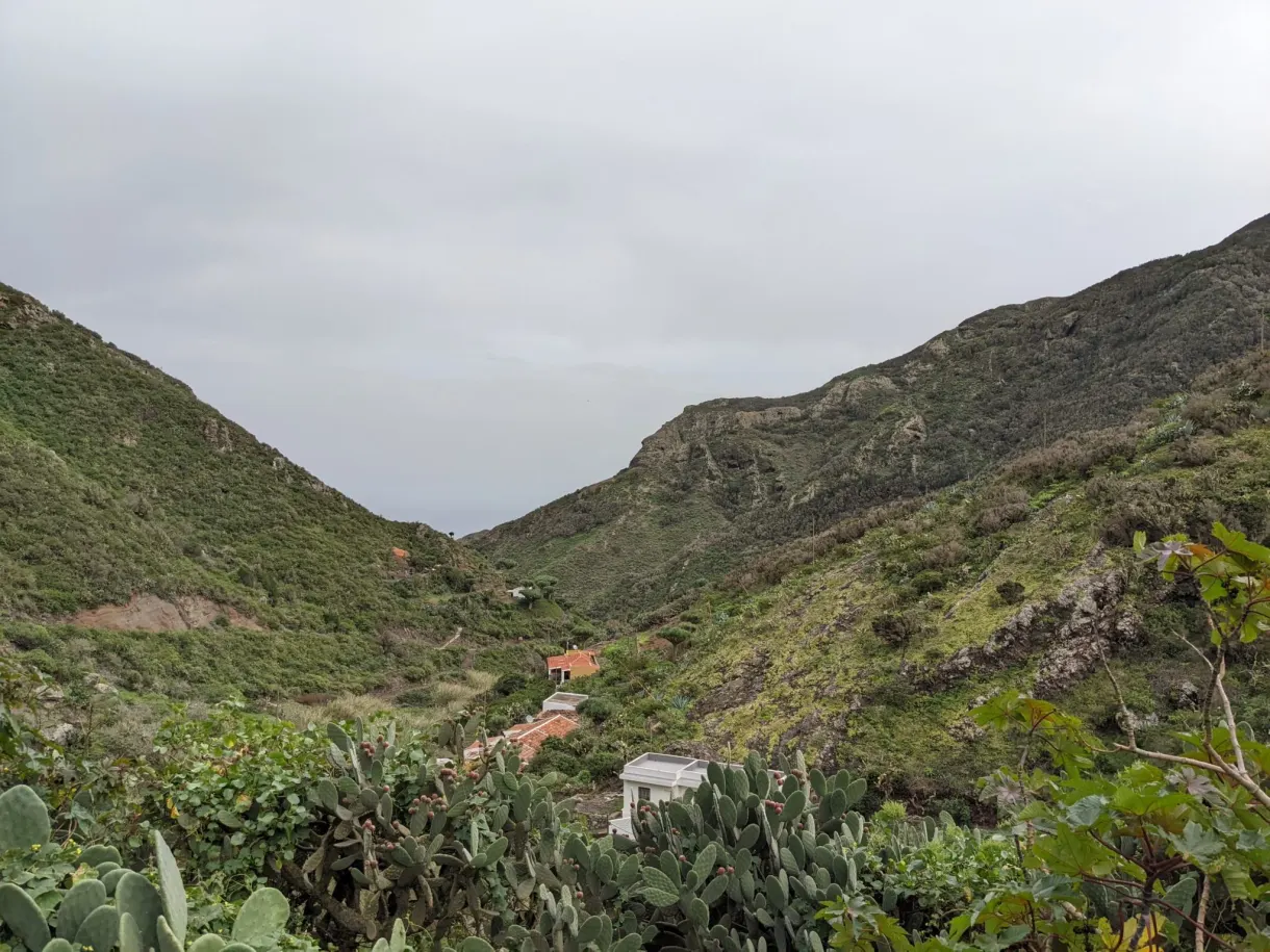 Vallée verte encaissée bordée de figuiers de barbarie
