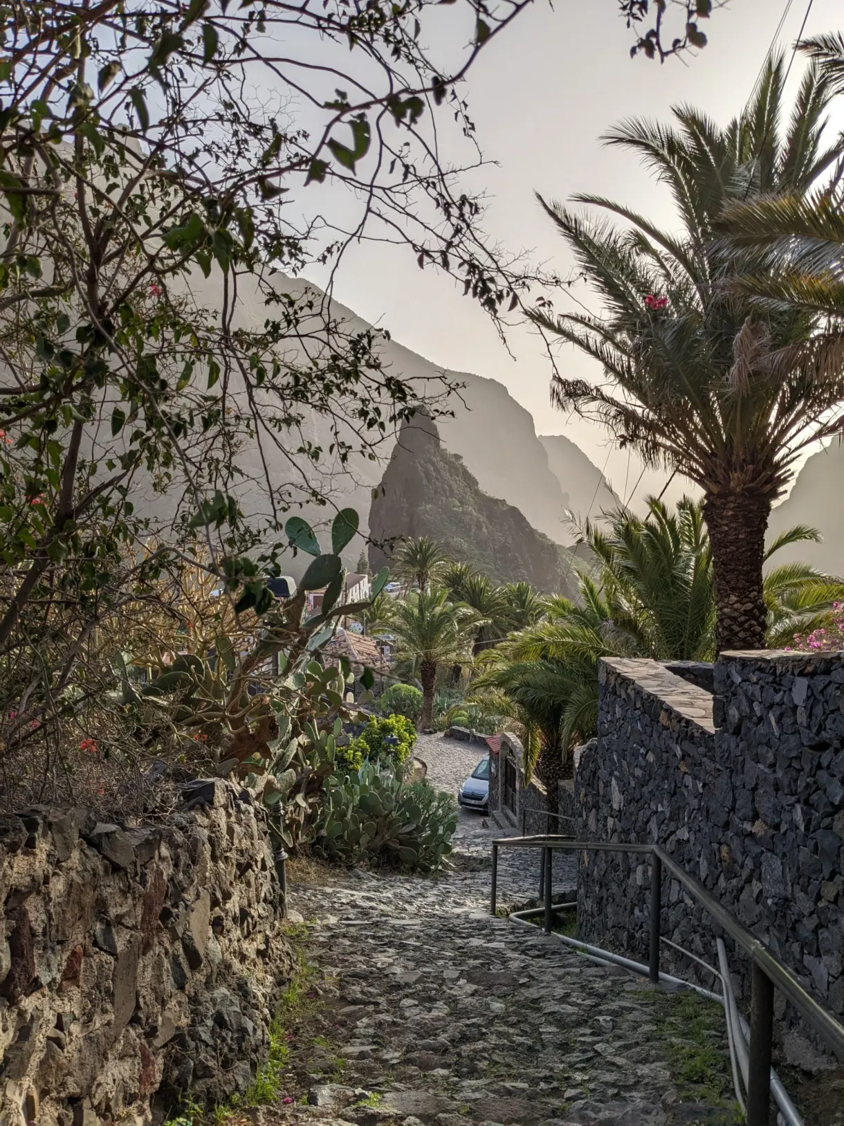 Ruelle pavée bordée de murets de pierre volcanique à Masca