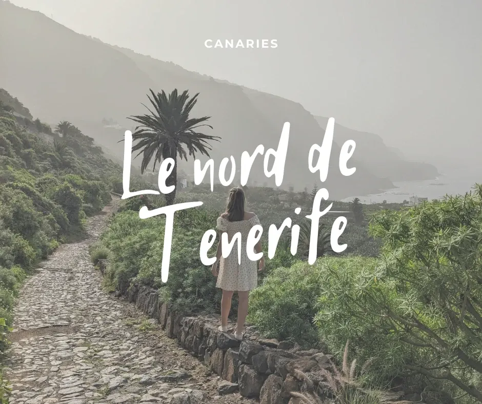 Femme de dos sur un chemin pavé, titre Le nord de Tenerife