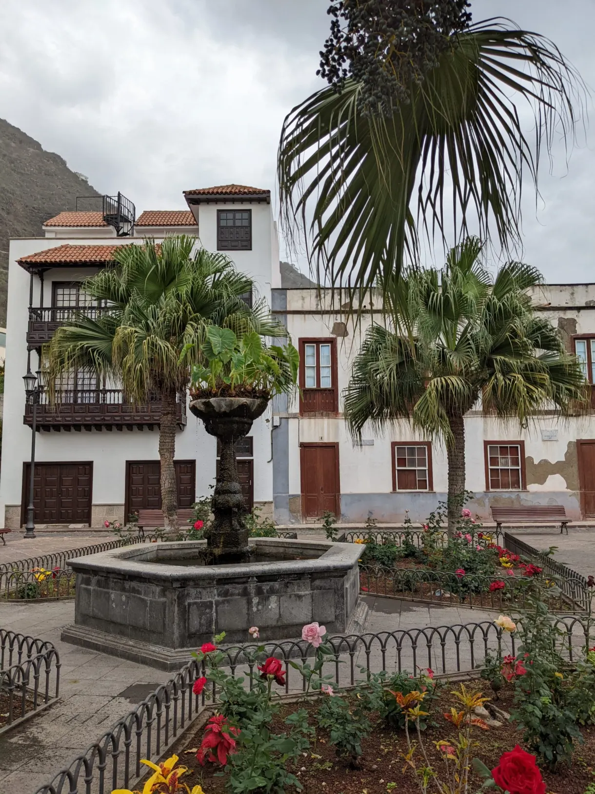 Fontaine de pierre et parterre de roses sur une place de Garachico