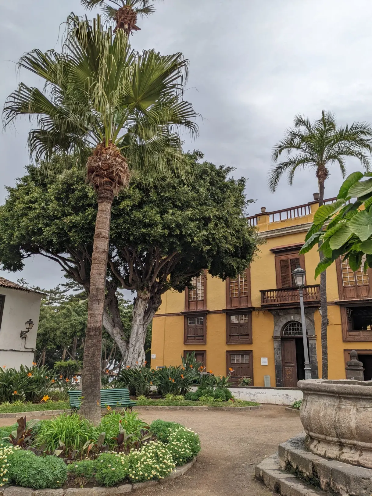 Jardin public et façade jaune ocre à Icod de los Vinos