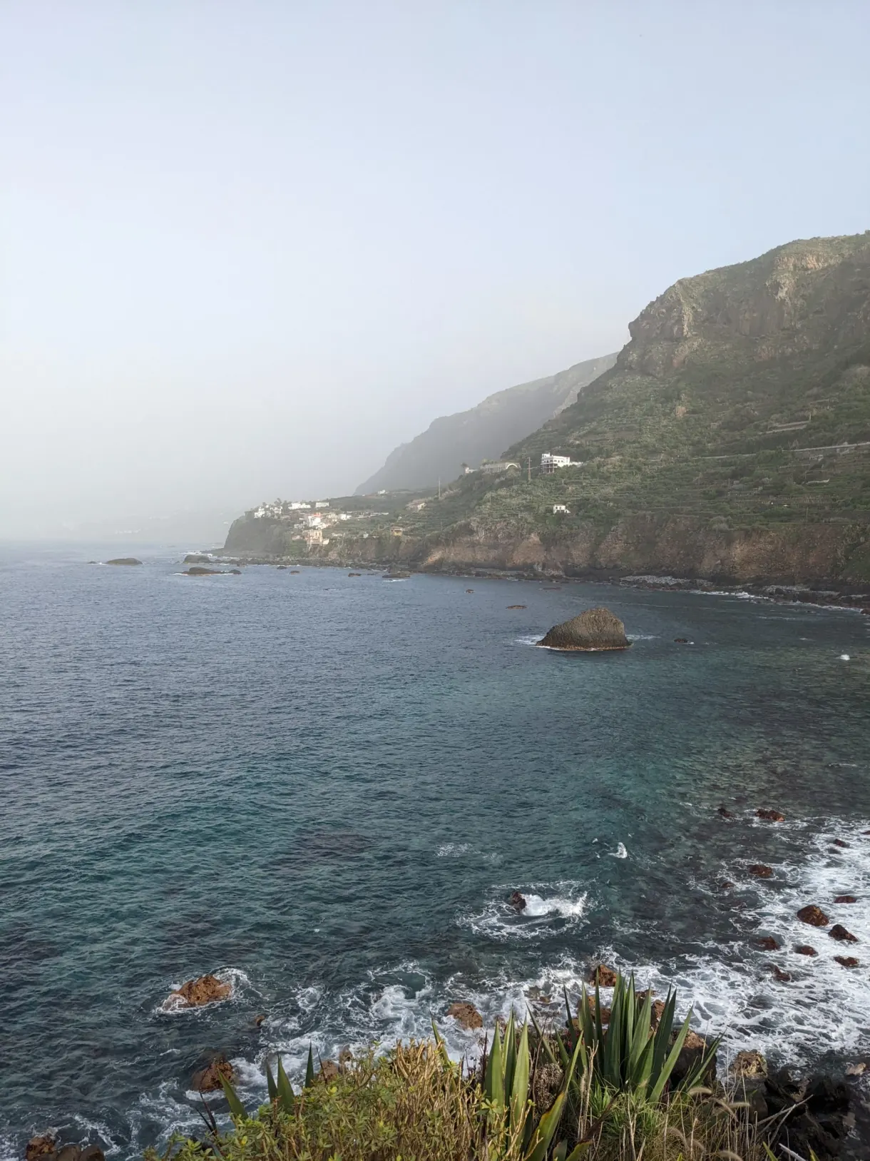 Falaise verte plongeant dans l'océan sous la brume