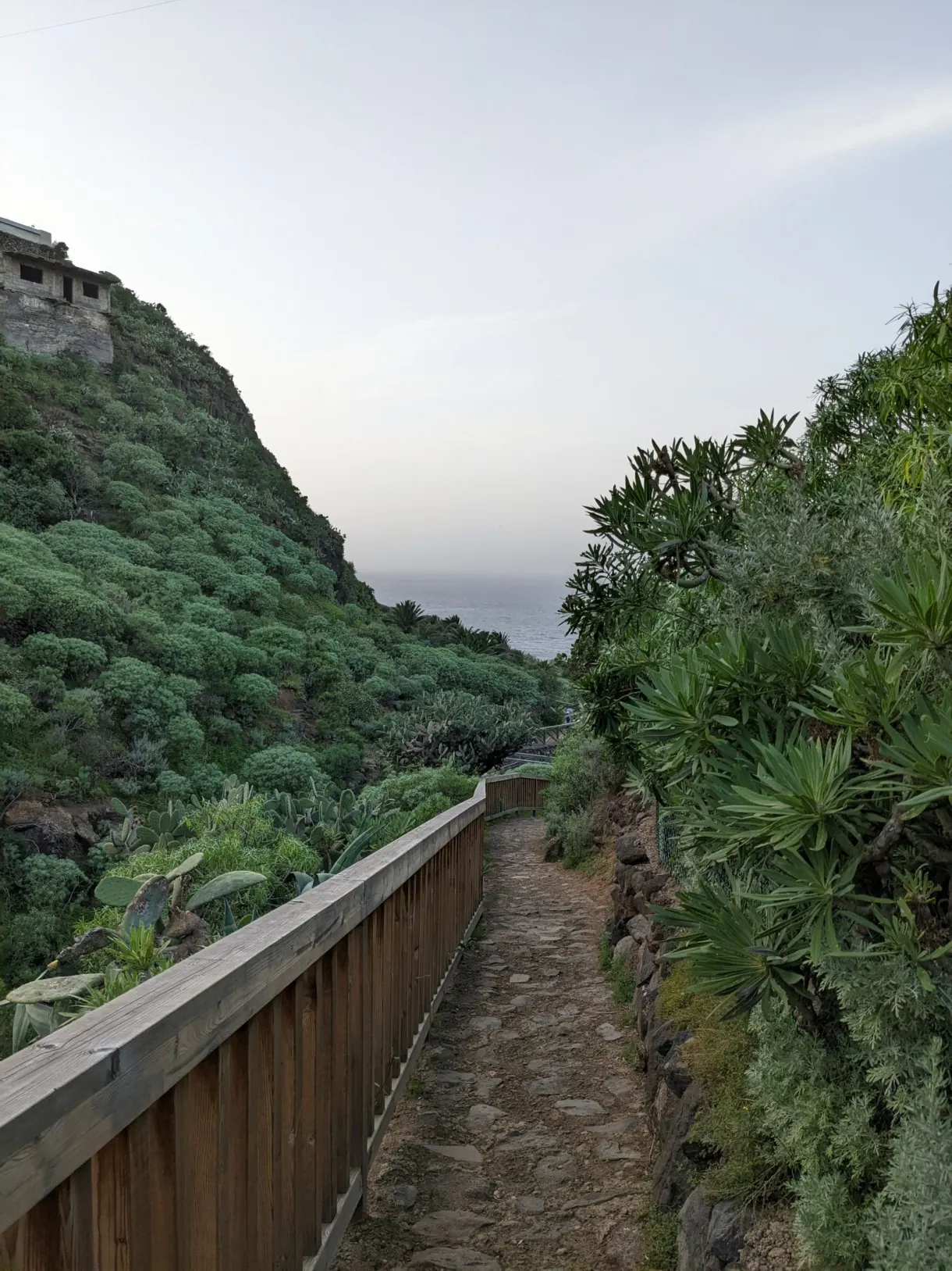 Chemin bordé d'une rambarde en bois à flanc de côte