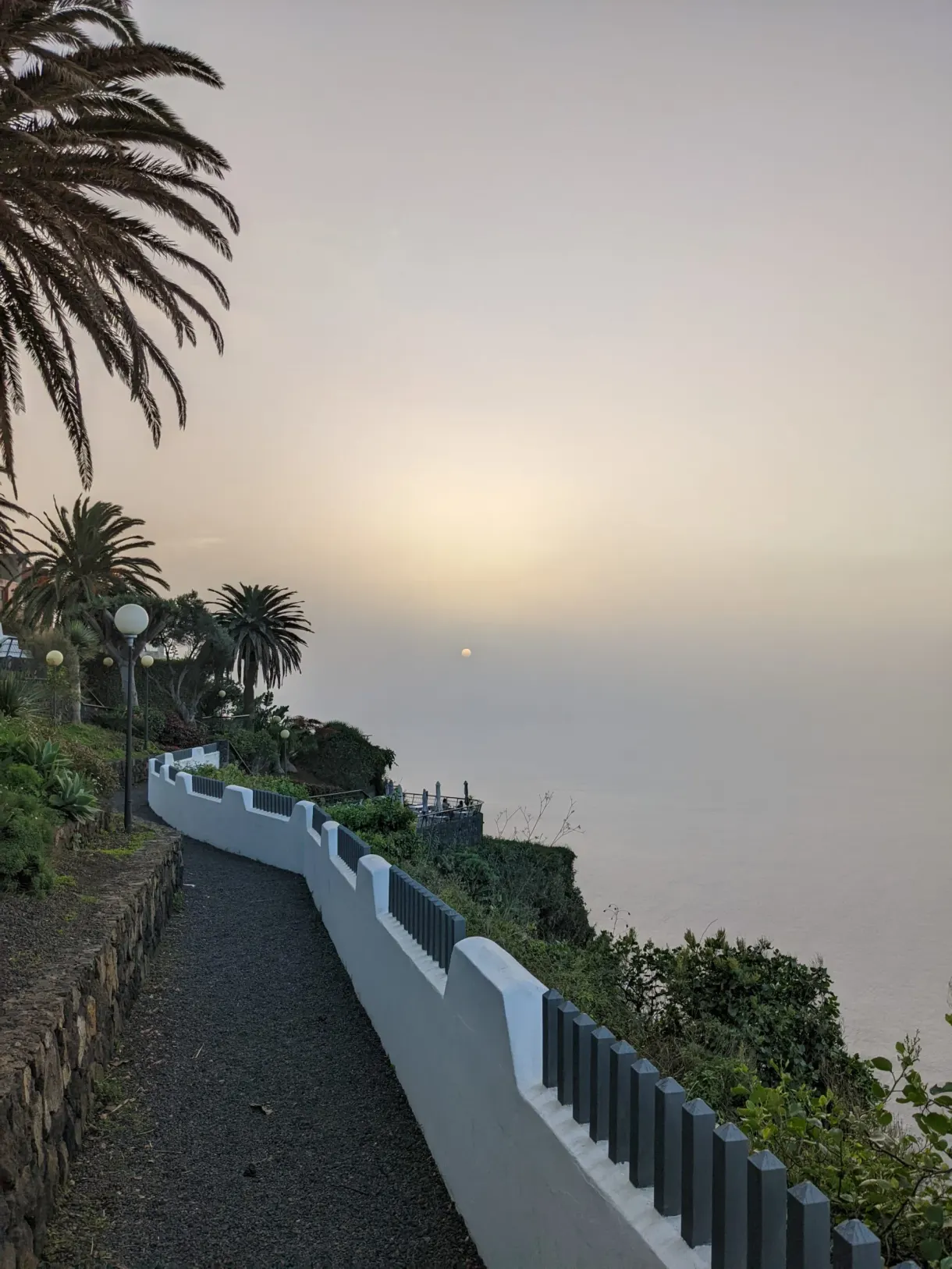 Coucher de soleil sur une promenade bordée de palmiers