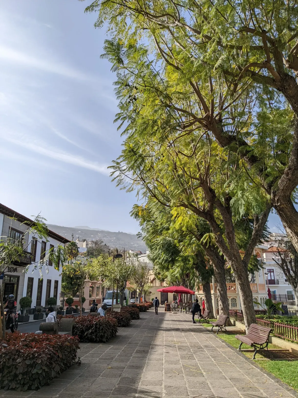 Allée arborée d'une promenade menant vers les hauteurs