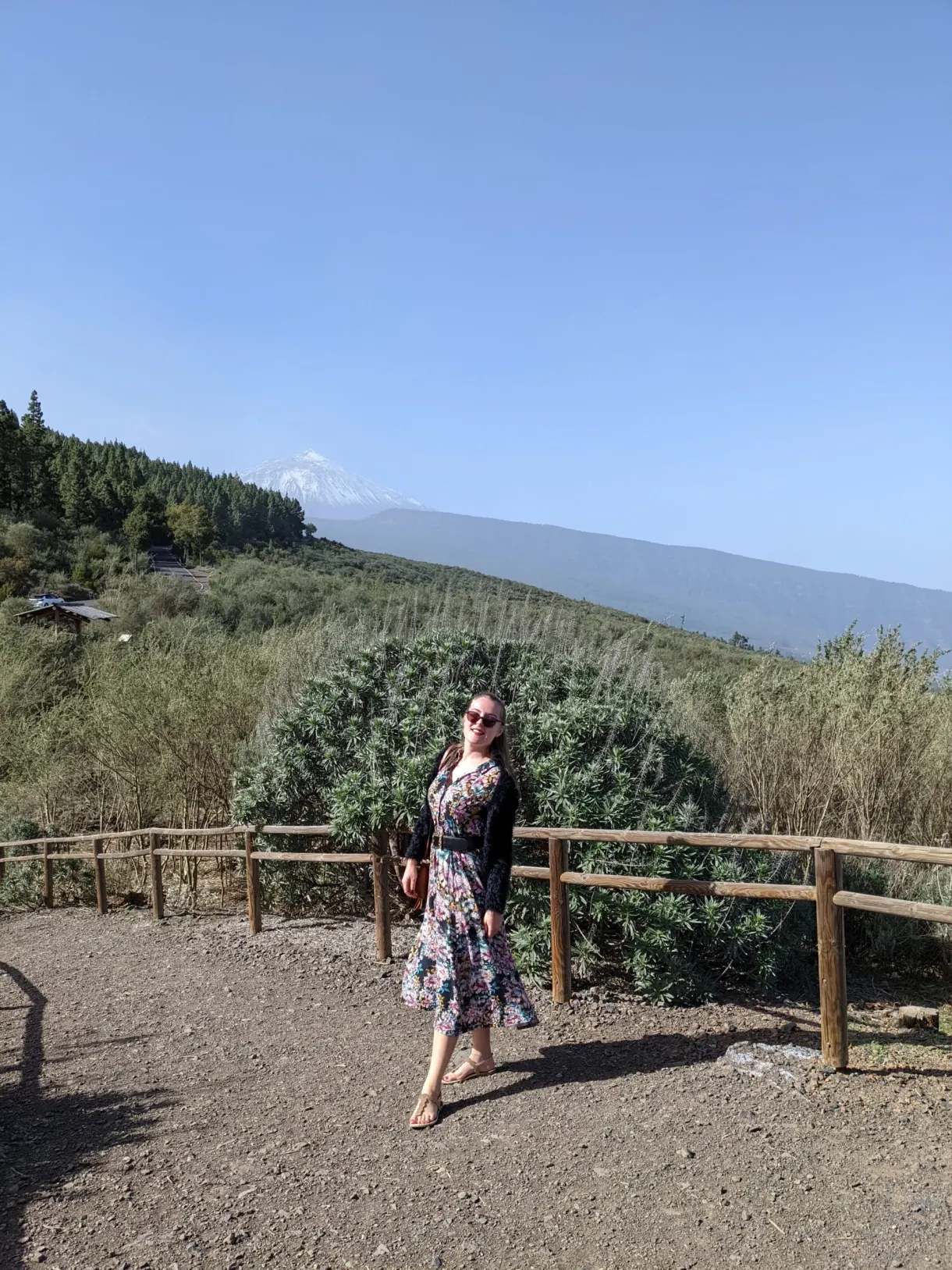 Woman in a flowered dress at the barrier of a viewpoint