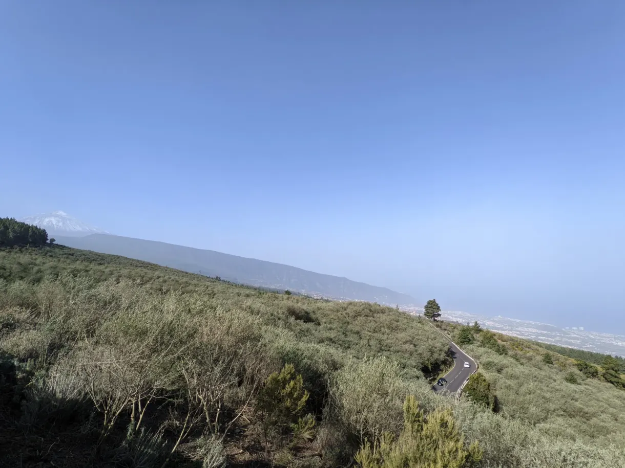 Expanse of green scrub running down towards the coast