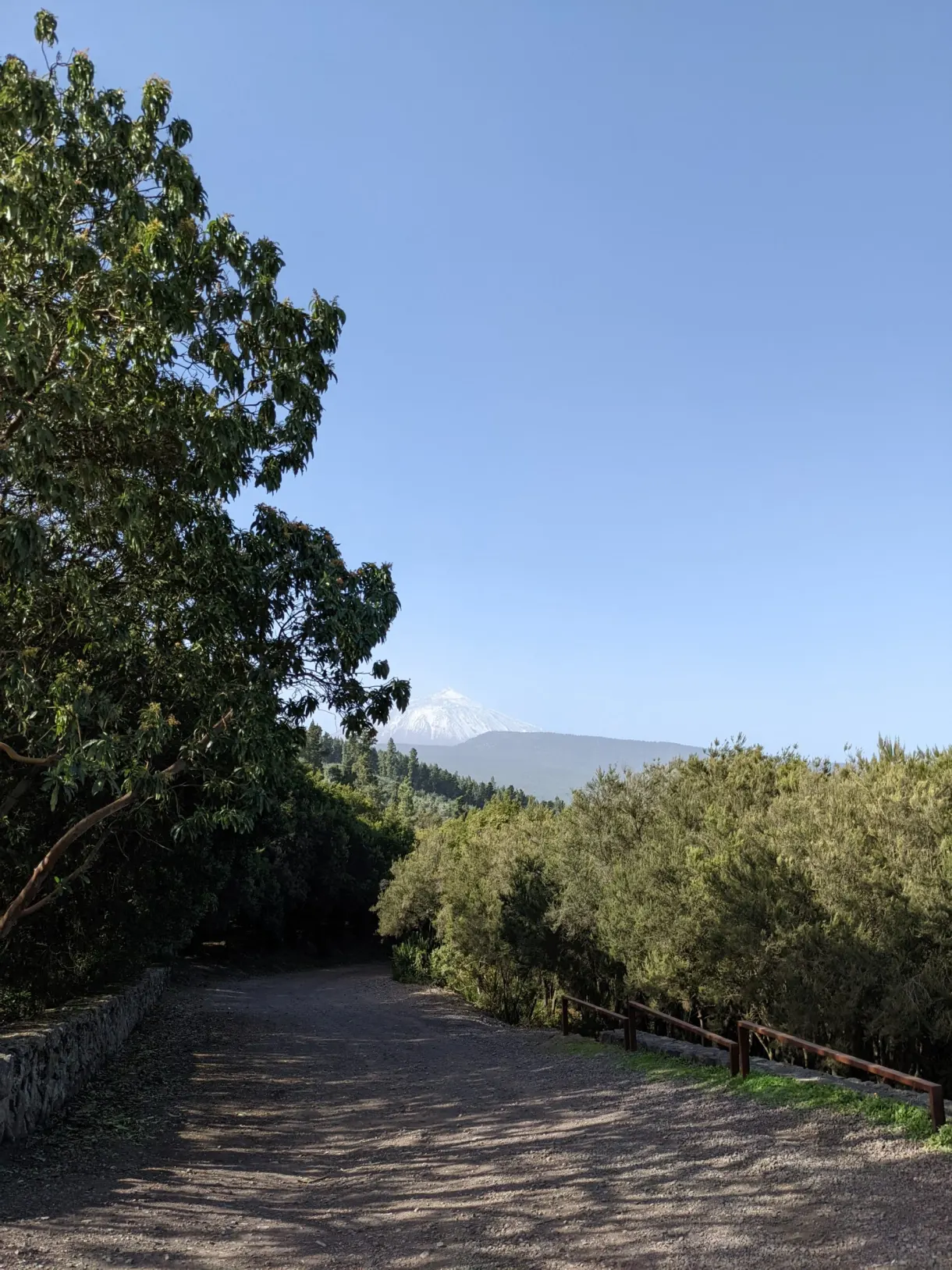Shaded dirt track lined with trees and a low wall