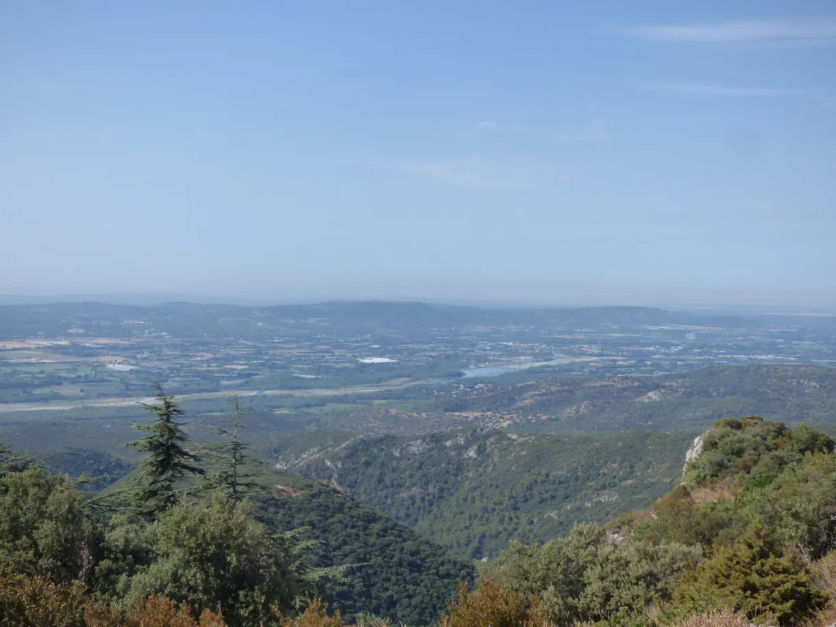 Depuis la crête boisée, la plaine s'étend jusqu'à l'horizon