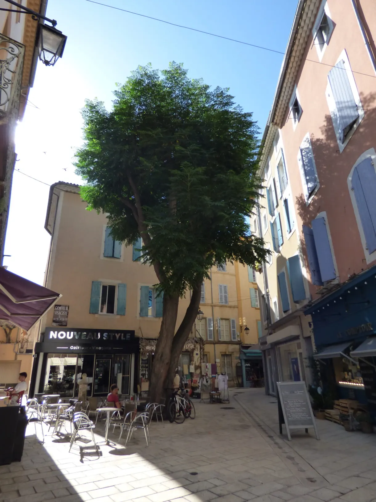 Large tree and cafe terrace in a pedestrian street in Orange