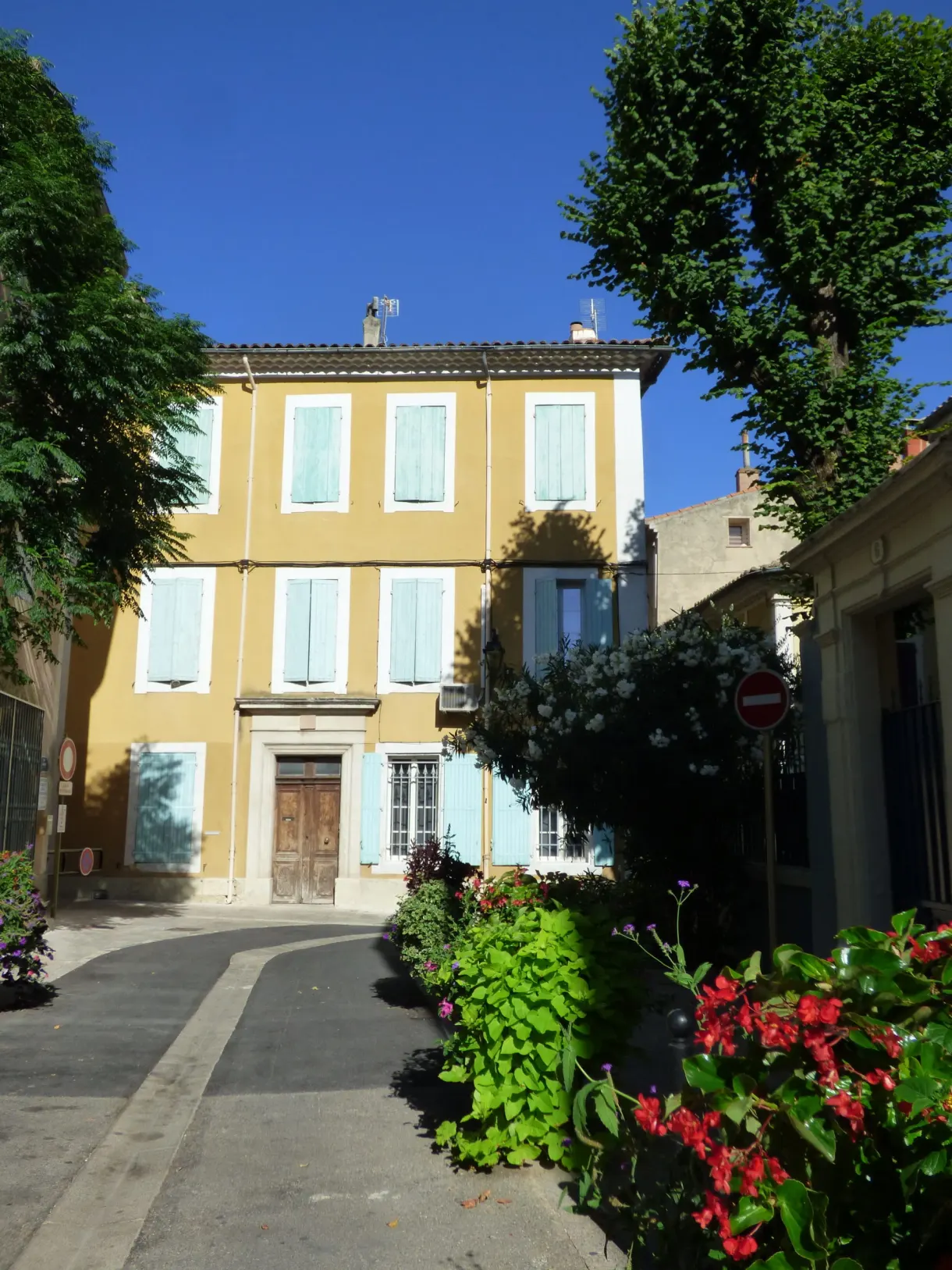 Yellow house with blue shutters and a bed of red flowers
