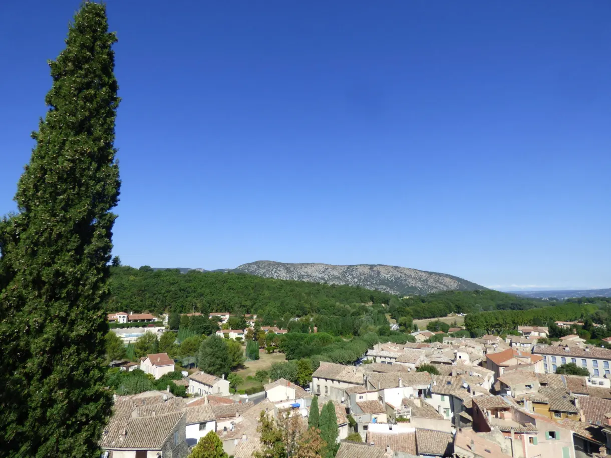 Cypress in the foreground and roofs of Malaucène backed against the hills