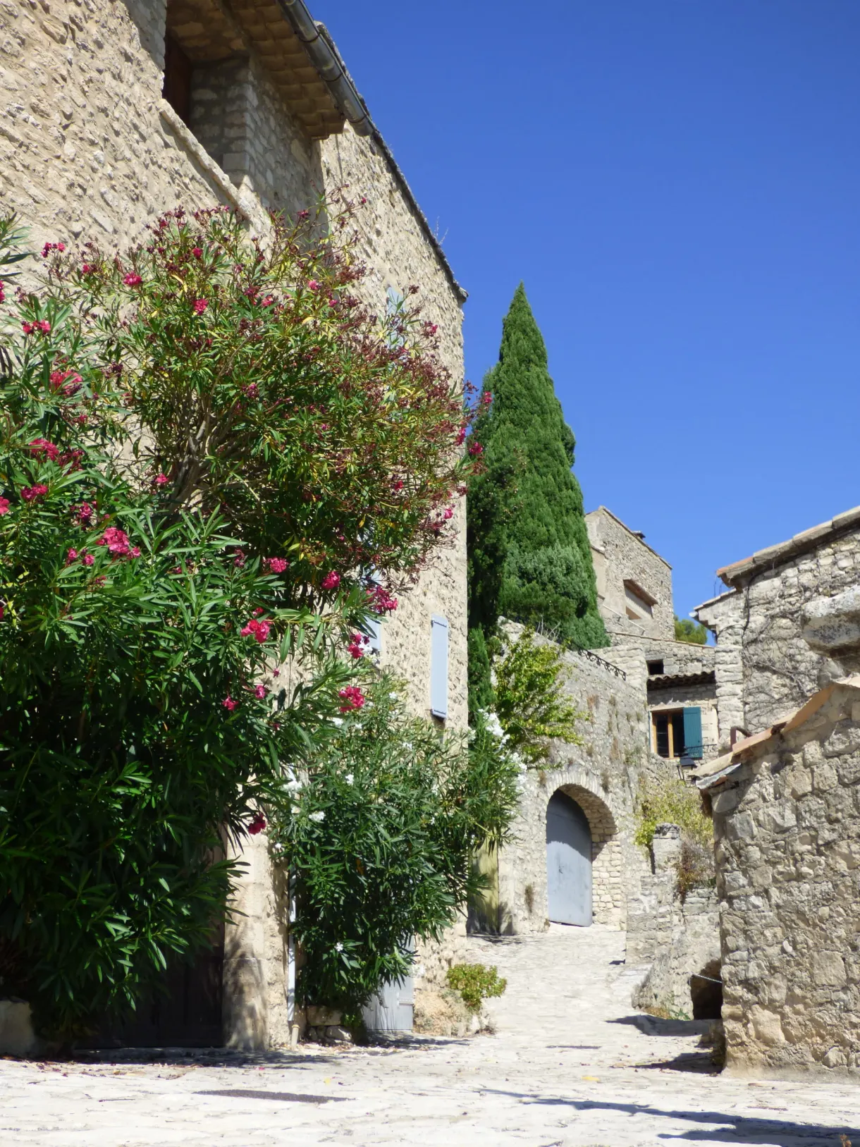 Flowering oleander against the stone walls of the village