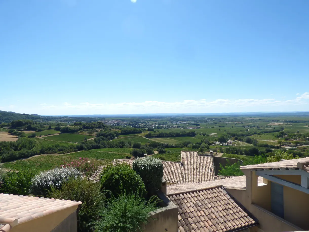 Wine-growing plain as far as the eye can see behind the tiled roofs
