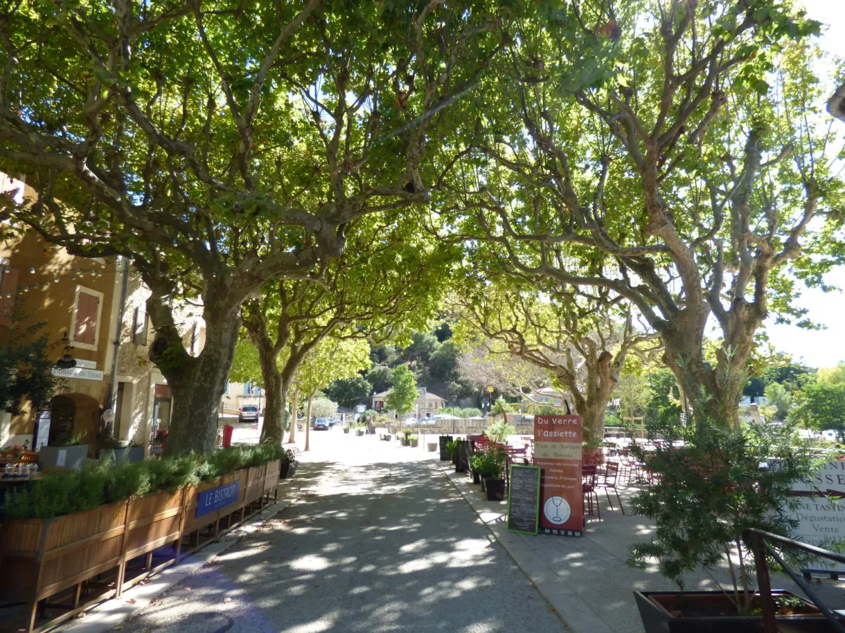 Avenue of plane trees lined with terraces in the centre of Gigondas