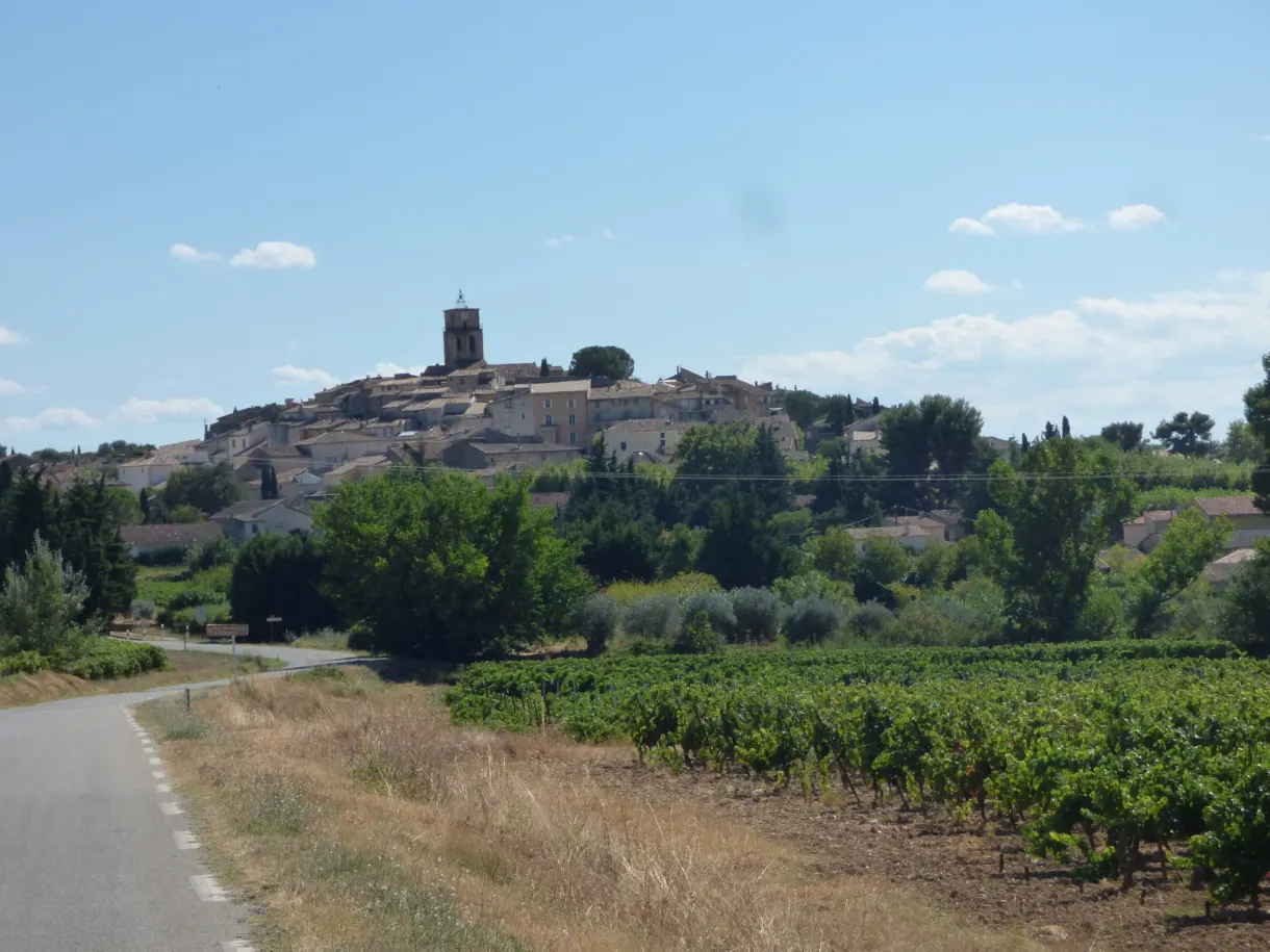 Rows of vines and road leading to the village perched on its mound