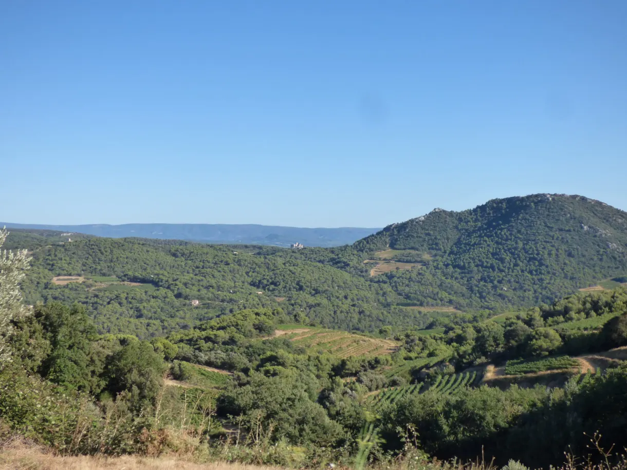 Wooded valley and hillside covered with garrigue