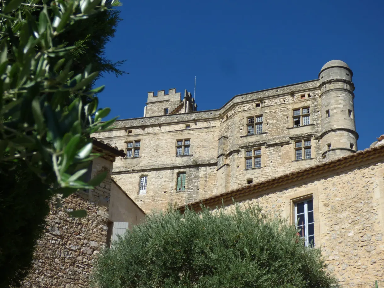 Stone castle and its round tower behind an olive tree