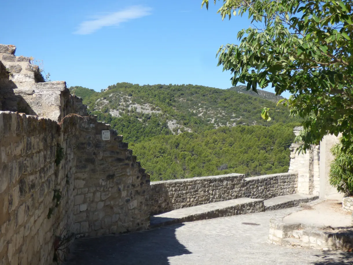 Ruined section of wall opening onto the wooded hill