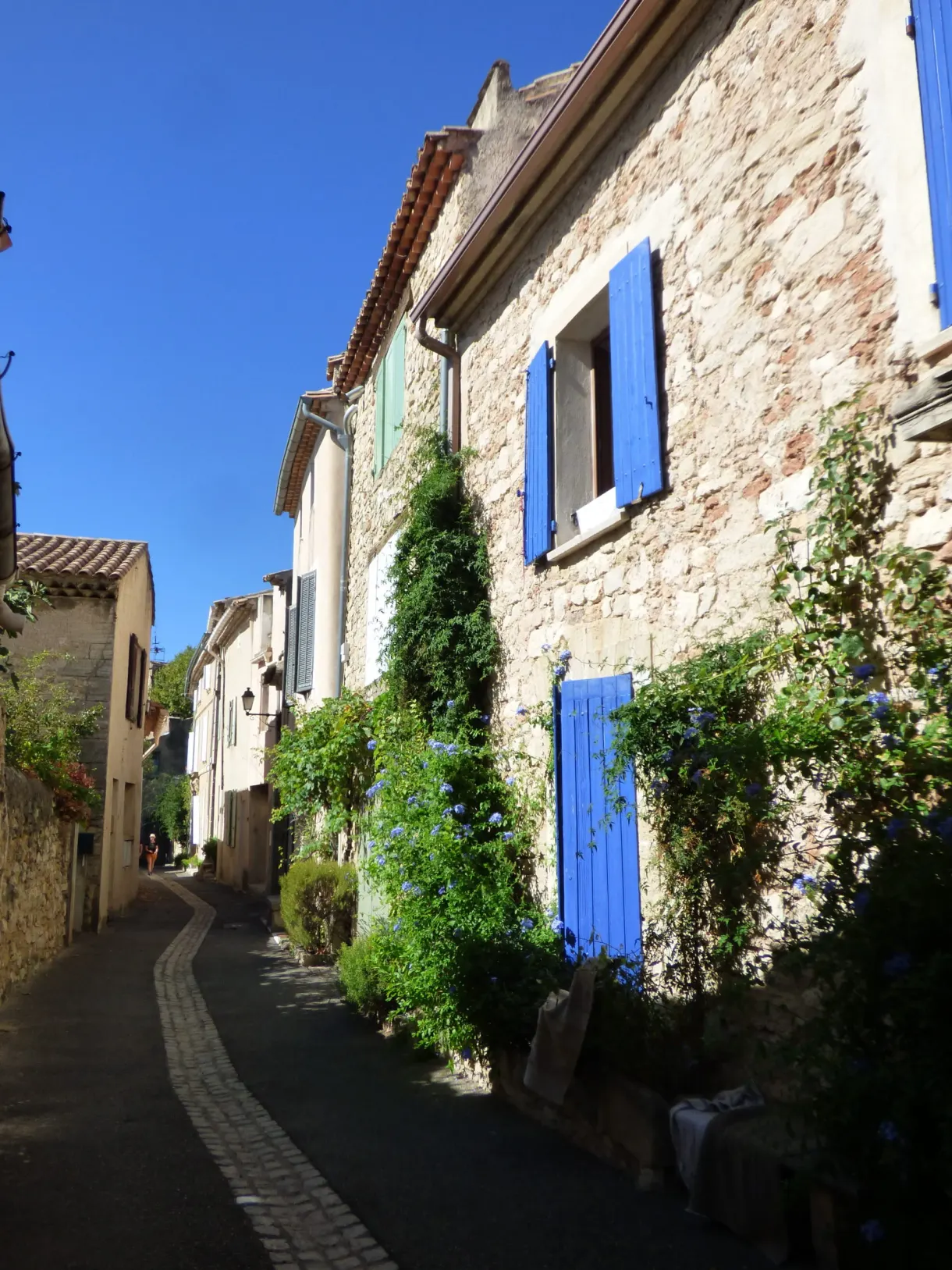 Cobbled ramp climbing between blue shutters and climbing vine