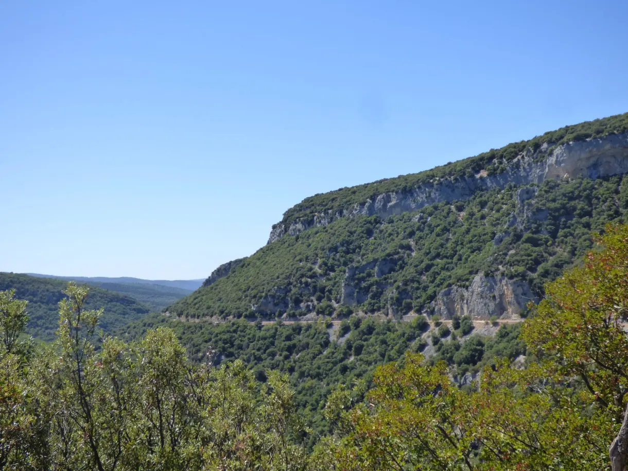 Limestone bar and wooded slope plunging into the gorges