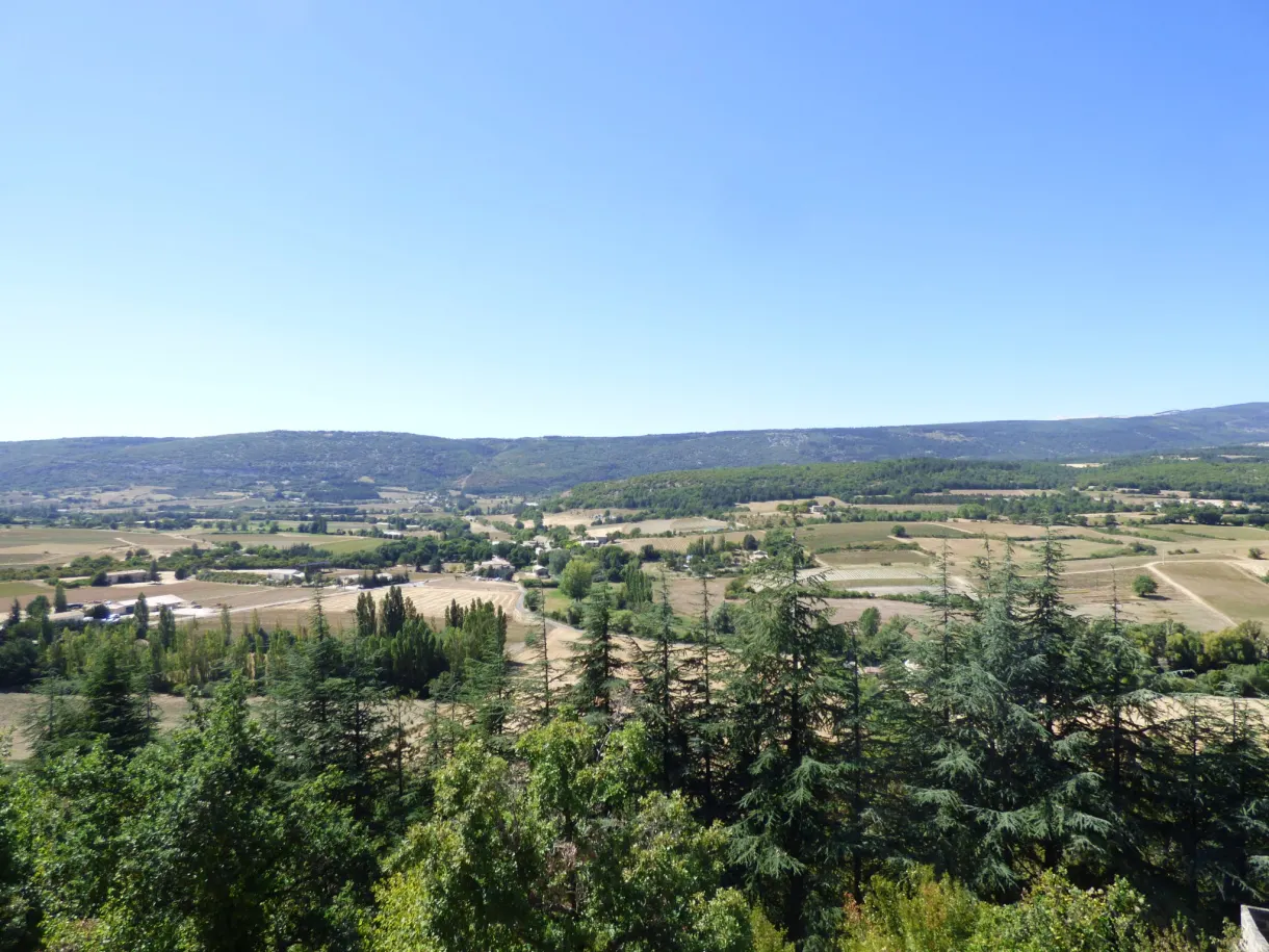 Cultivated plain and line of hills behind the foliage