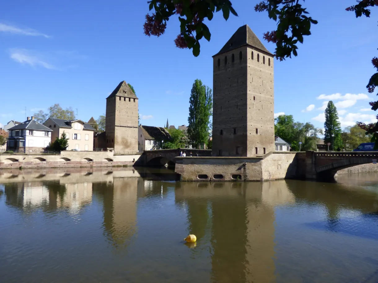 Towers of the Ponts Couverts beneath the branches of a large tree