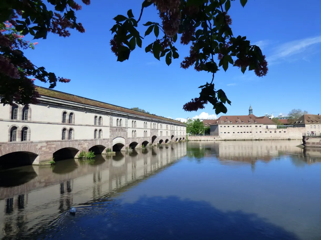 Arches of the dam lined up under a blue sky, foliage overhanging