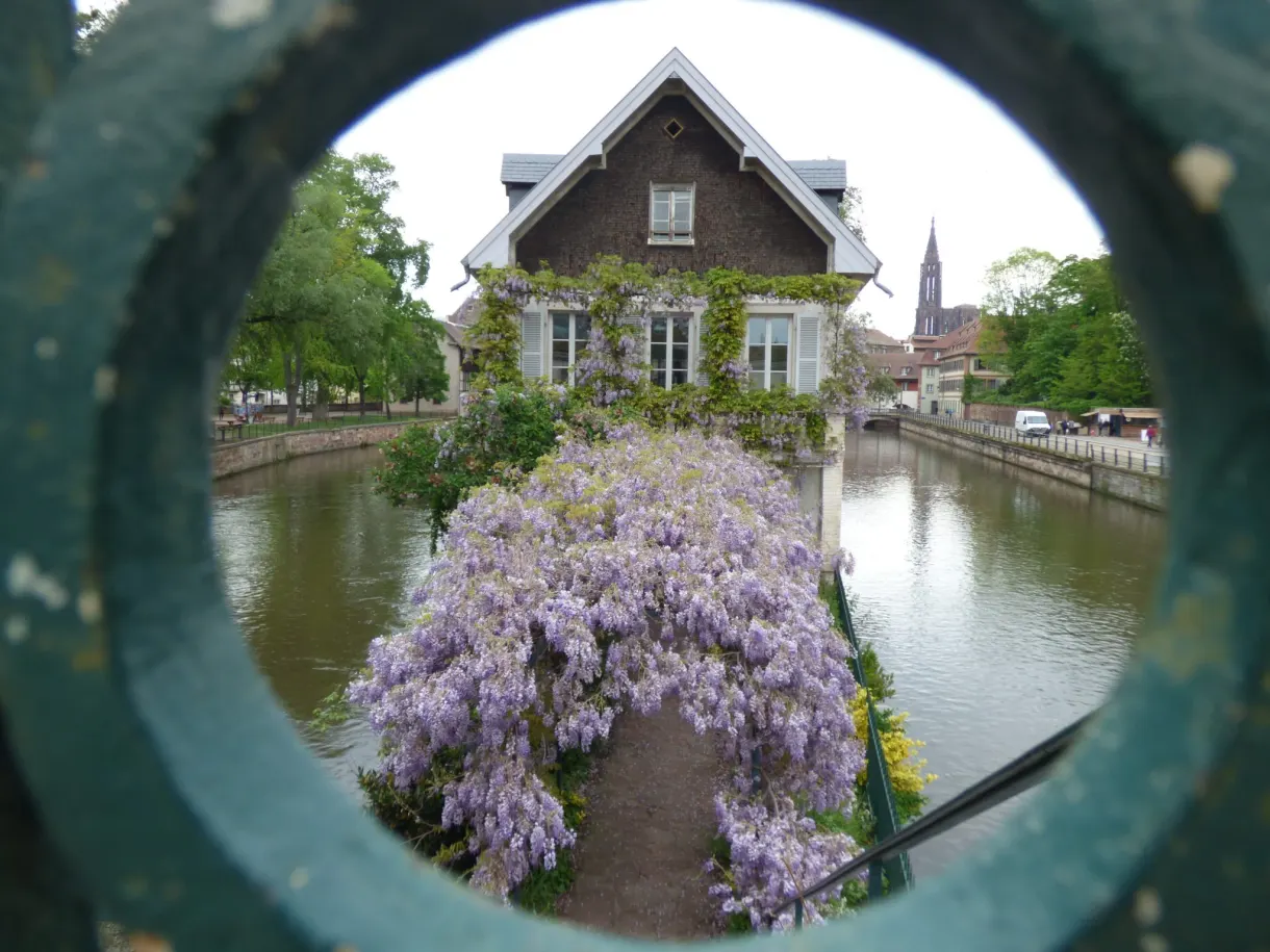 Canal and flower-covered house framed in a metal ring