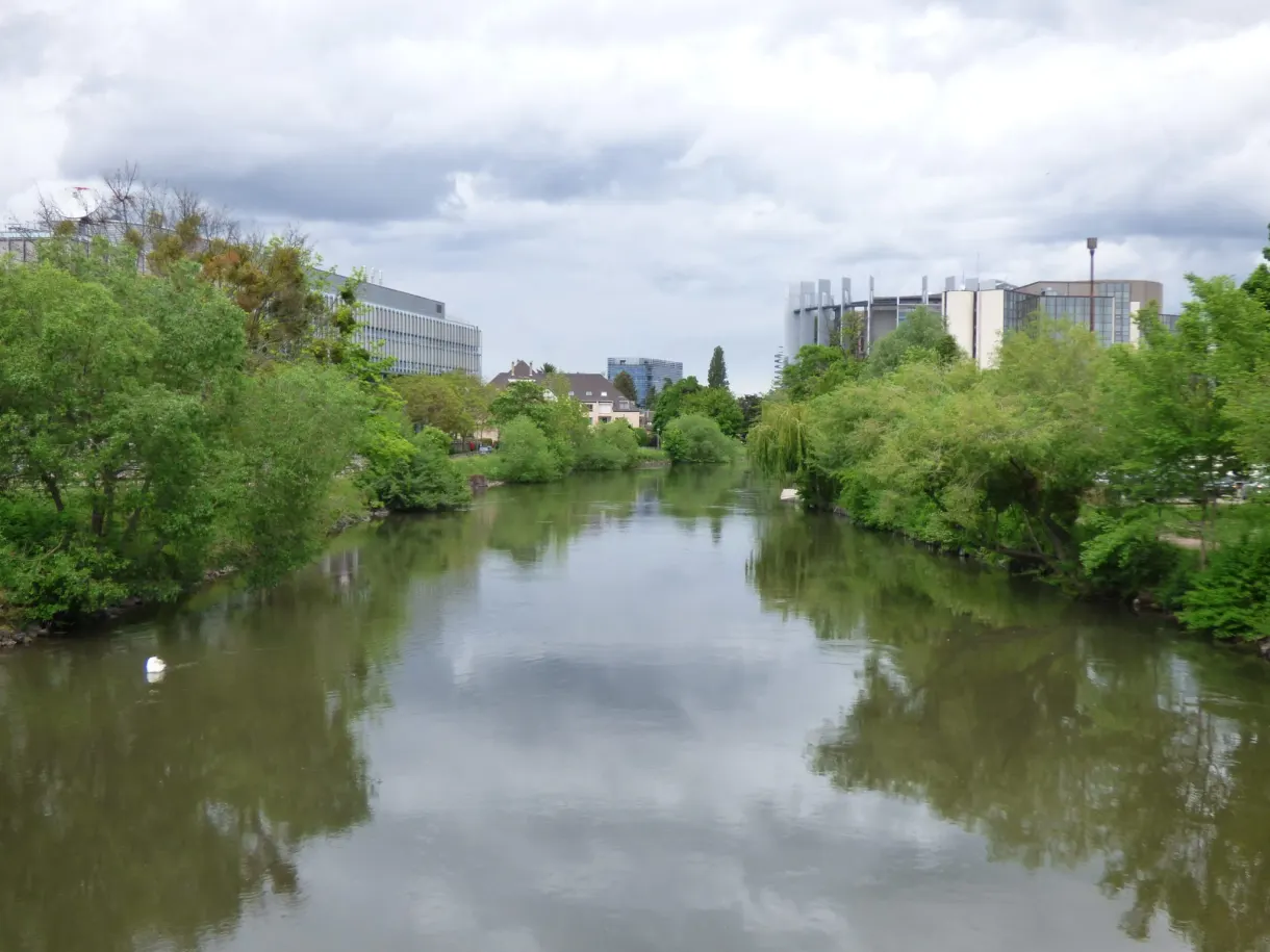 Tree-lined branch of the river in front of modern buildings