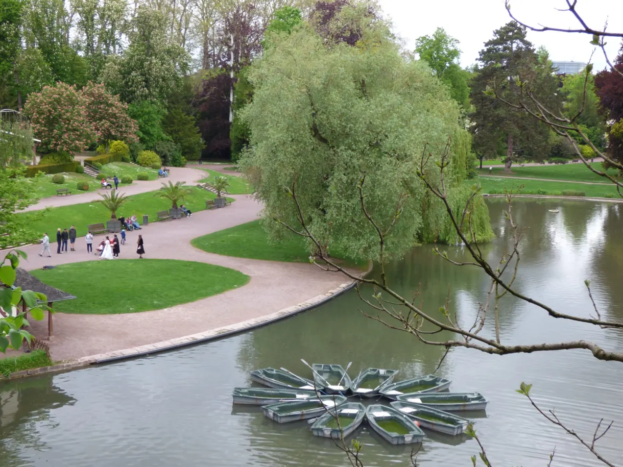 Winding path alongside the park lake in spring
