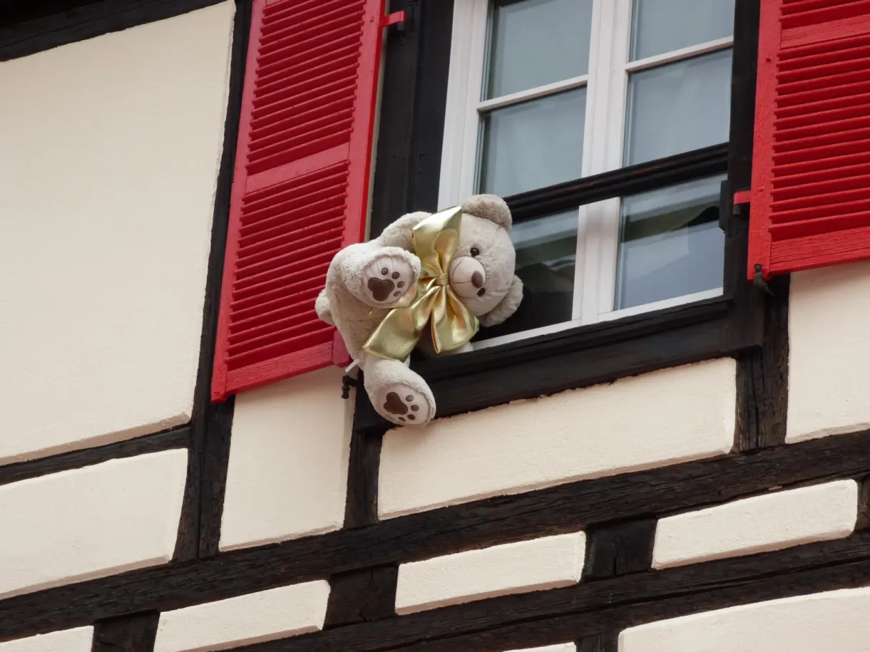 Teddy bear sitting on a windowsill with red shutters