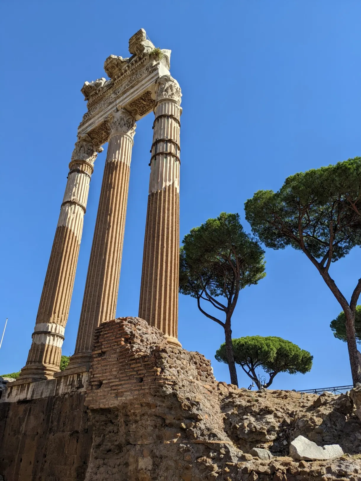 Trois colonnes cannelées dressées près d'un pin parasol