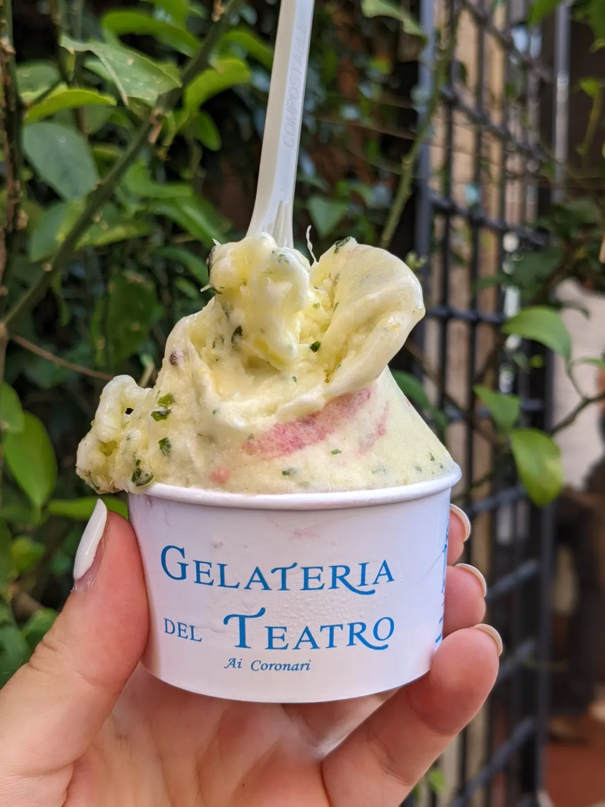 Glace parsemée de vert devant une grille couverte de lierre