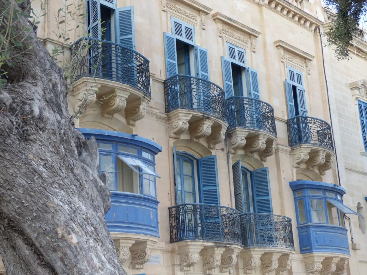 Blue balconies and ironwork behind a gnarled trunk